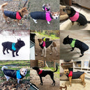 Furwarm Adventure Dog Jacket