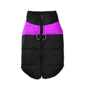 Furwarm Adventure Dog Jacket