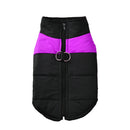 Furwarm Adventure Dog Jacket